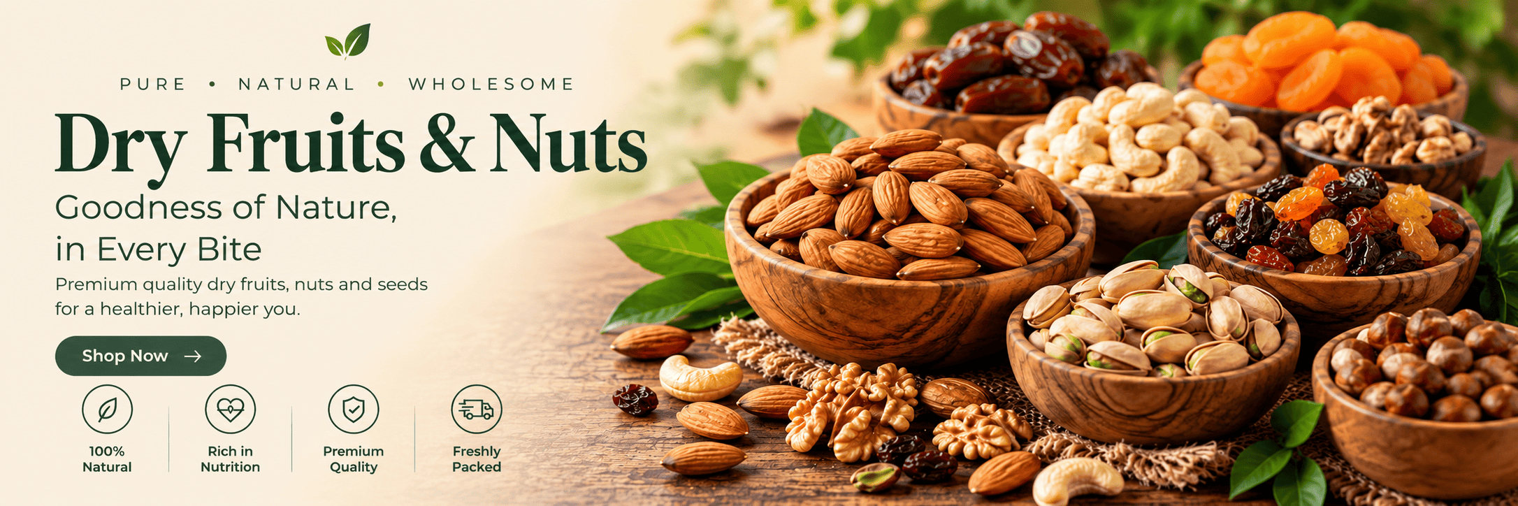 Dry Fruit Shop banner