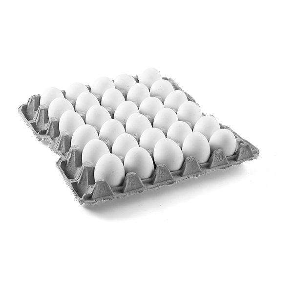 30M WHITE EGGS TRAY (UNIT)