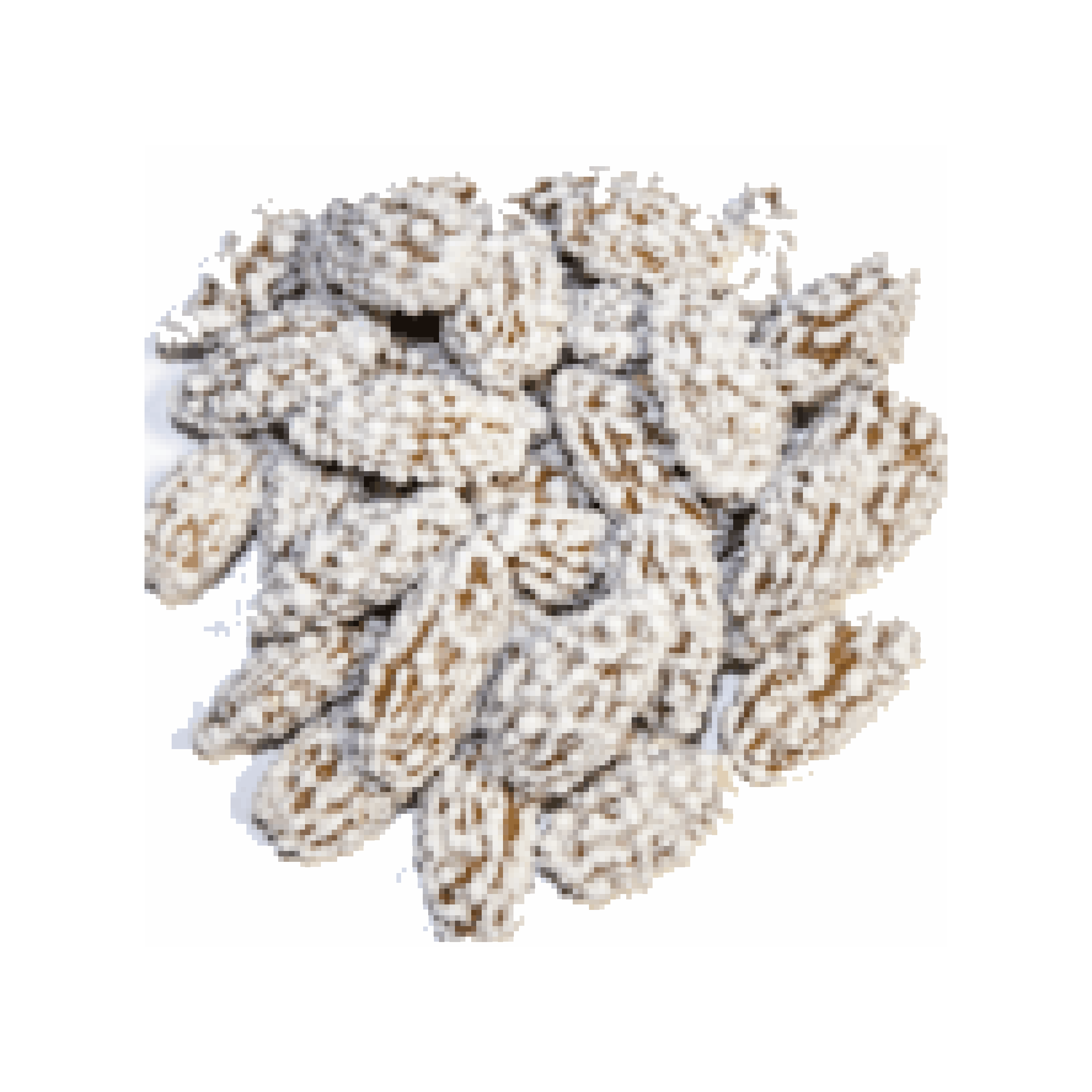 KAIF ALMONDS NOQUL 400G