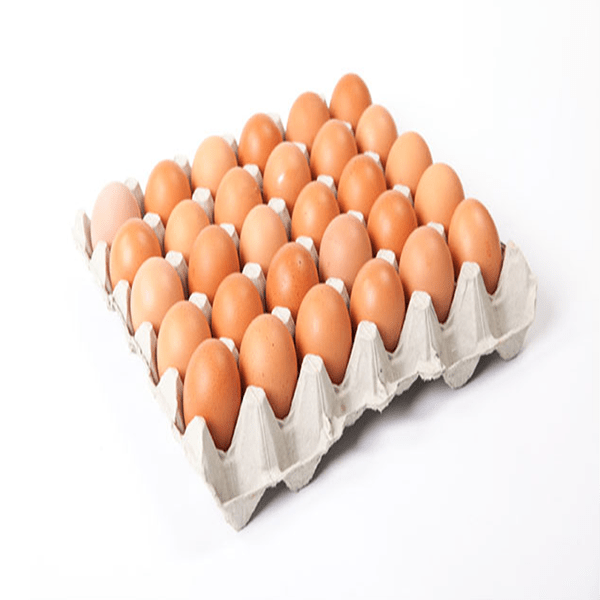 30M BROWN EGGS TRAY (UNIT)
