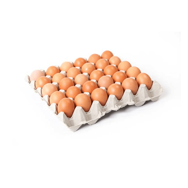 30 BROWN EGGS FAMILY PACK